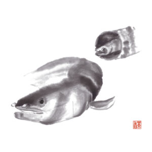 小暑