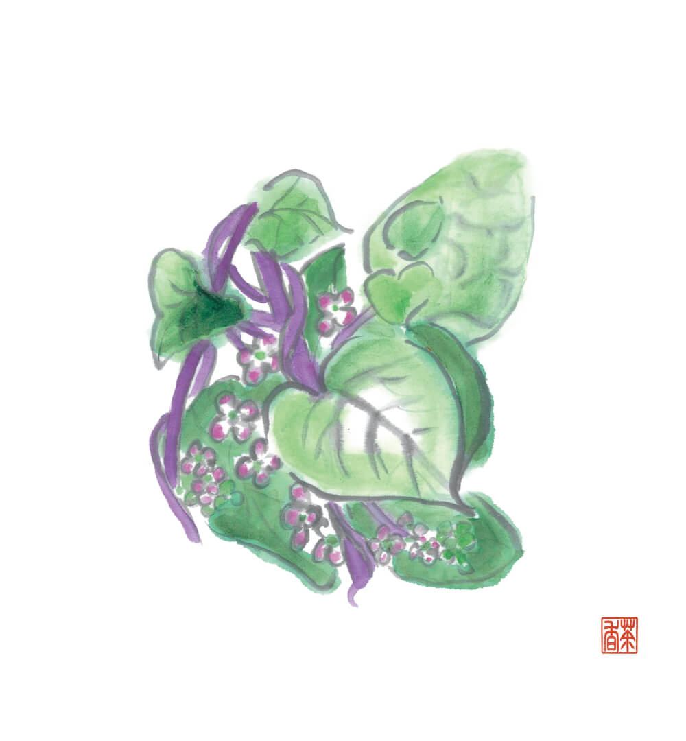 大暑