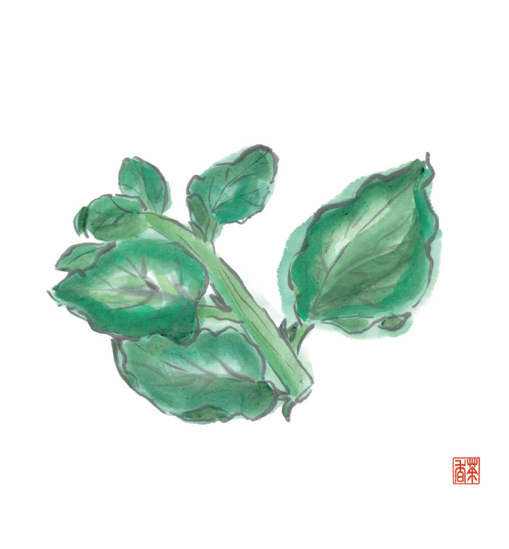 大暑