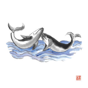 白露