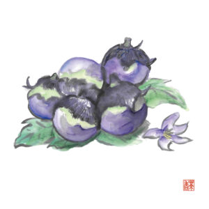 白露