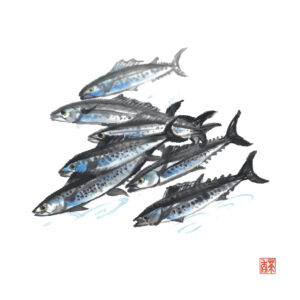 寒露
