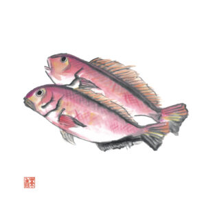 寒露