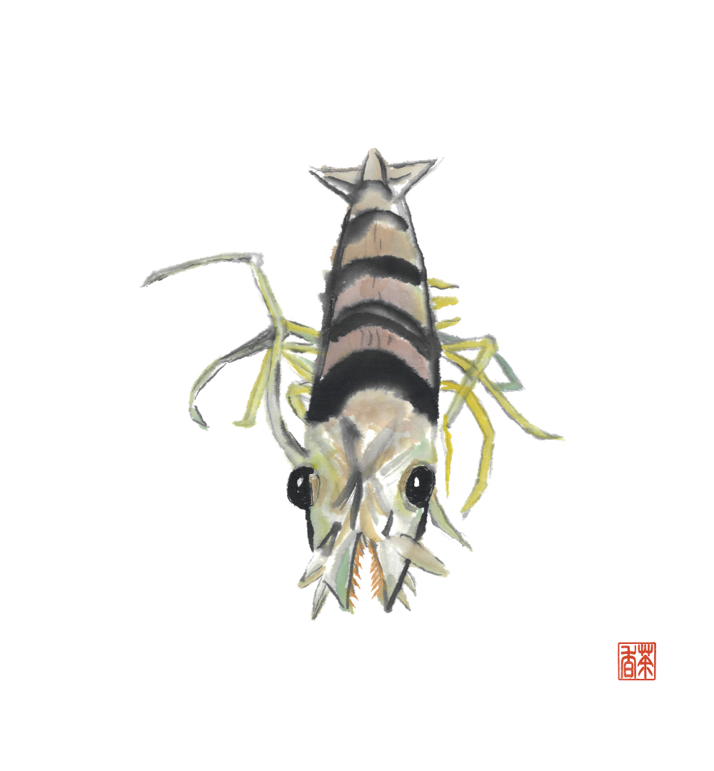 節気画像