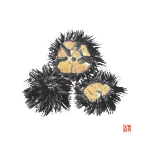 小暑