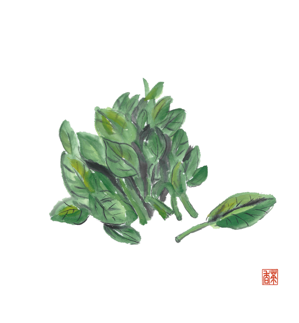 節気画像