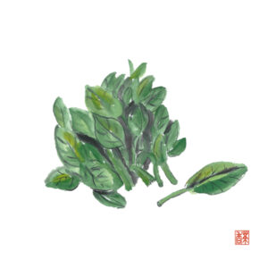 小暑