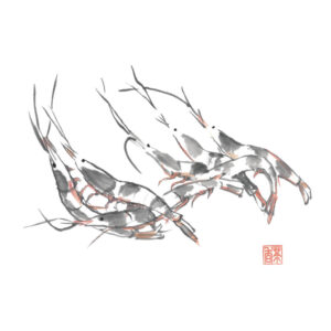 立夏