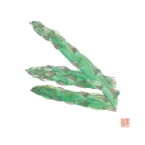 立夏