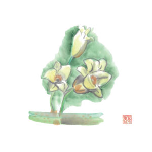 立夏
