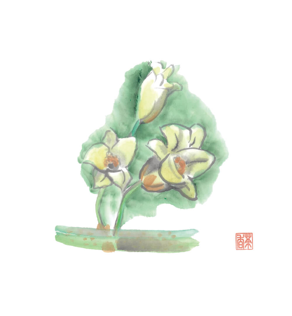 立夏