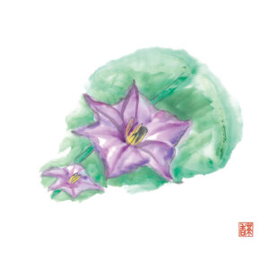 小満
