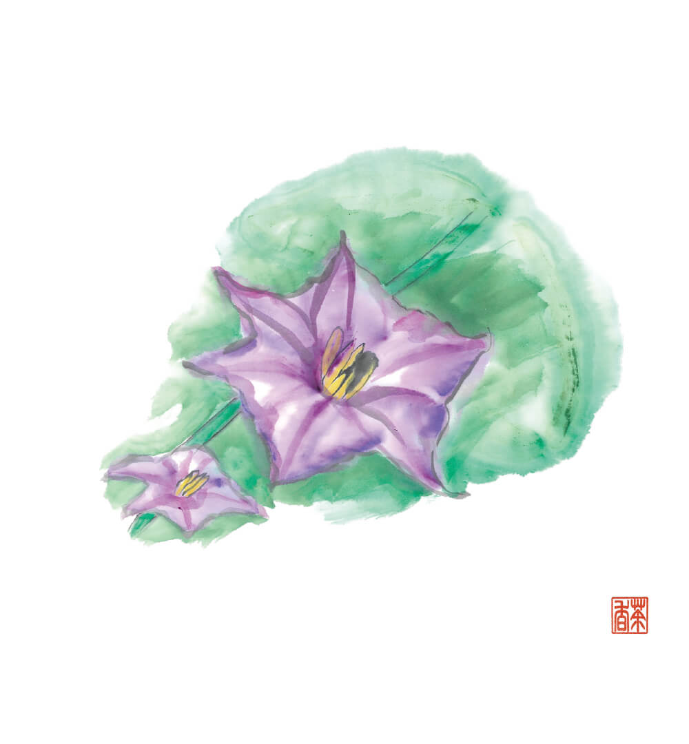 節気画像