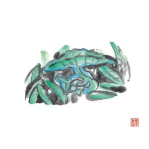 佄種