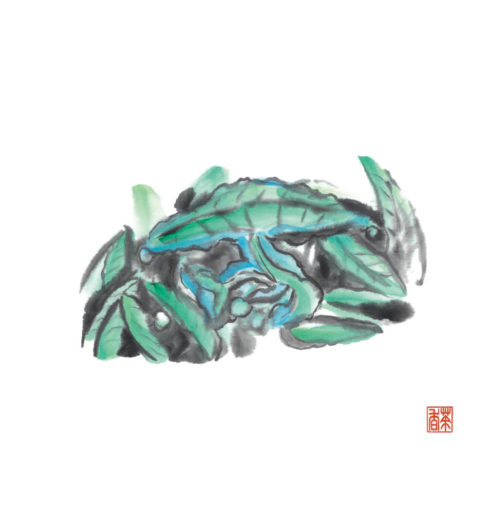 節気画像