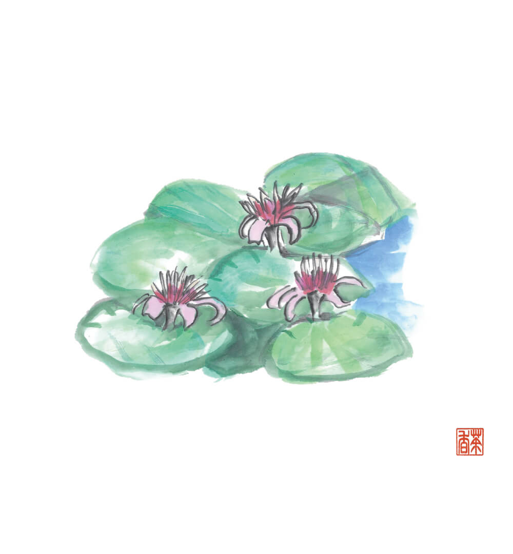 節気画像