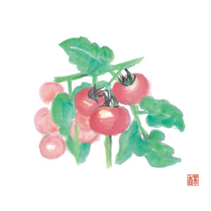 夏至