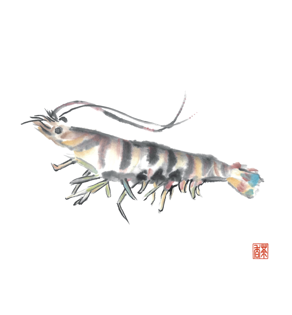 節気画像