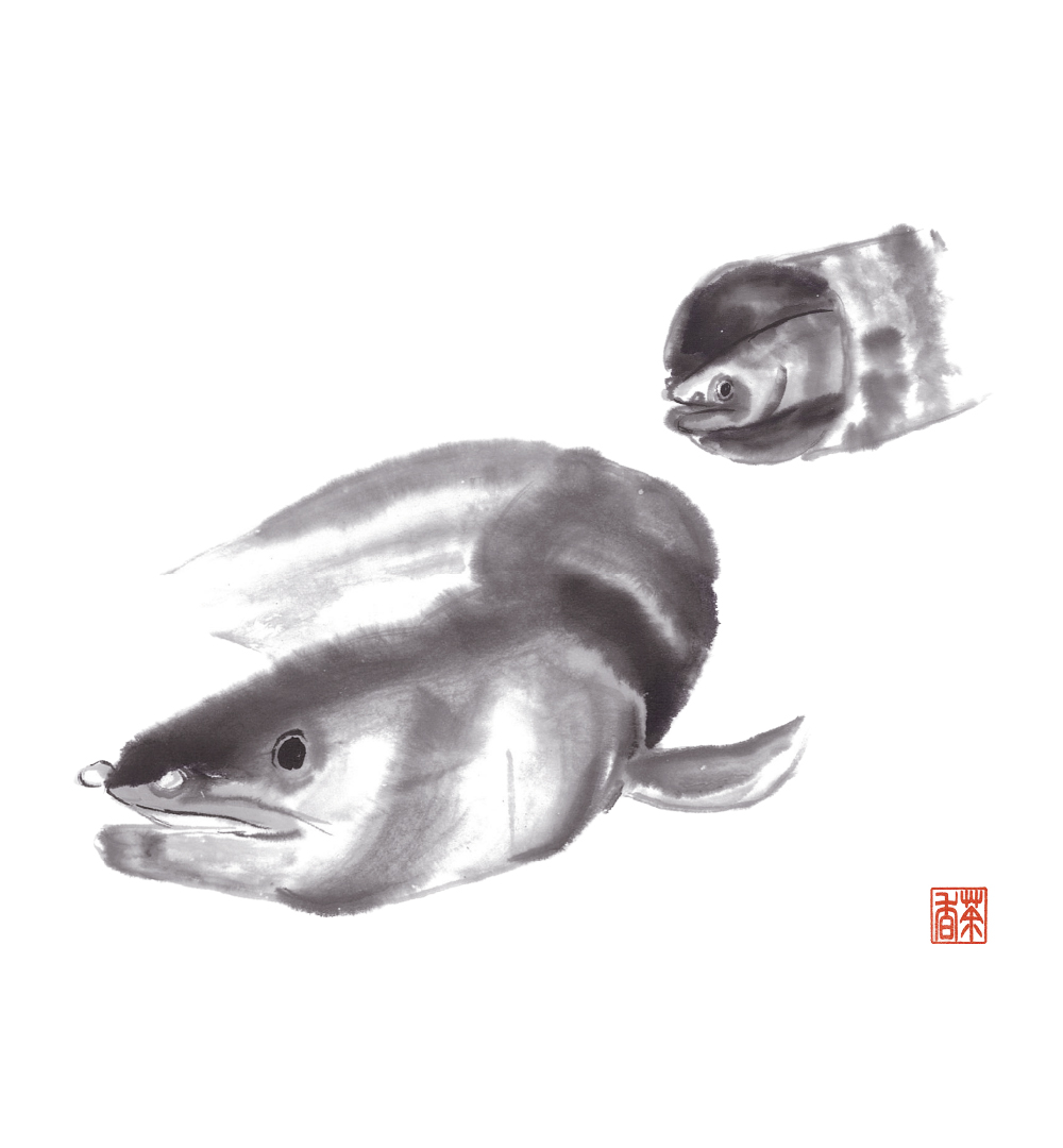 節気画像