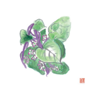 大暑
