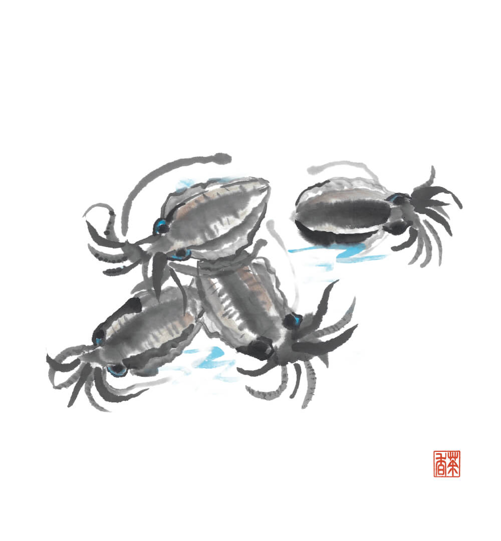 節気画像