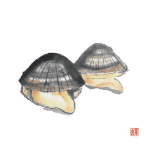 立秋