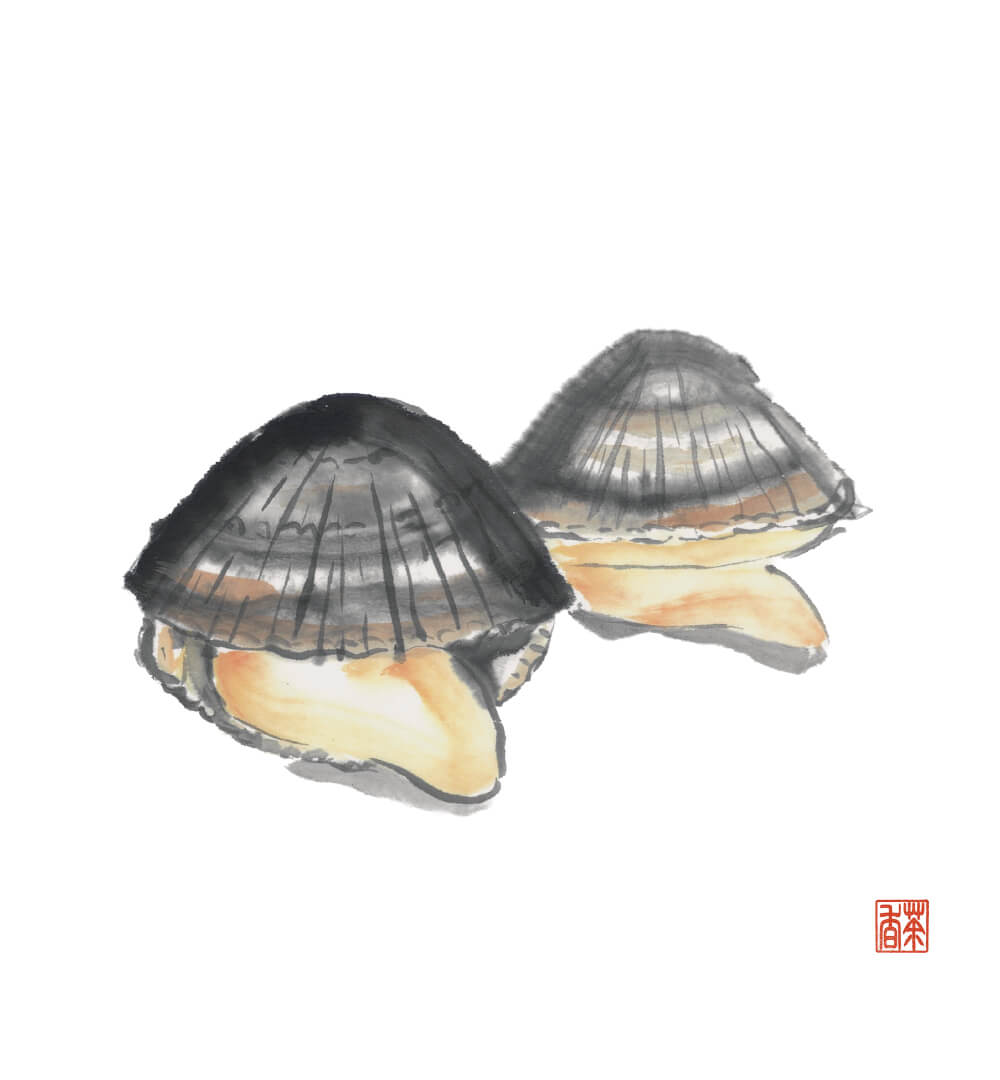 節気画像