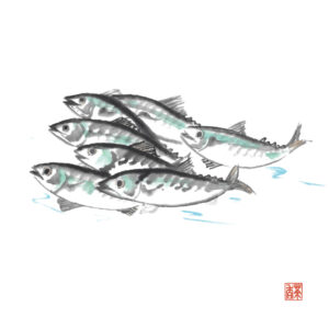 秋分