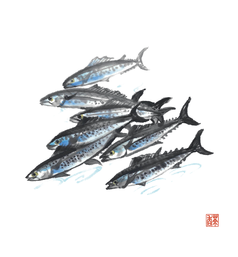 寒露