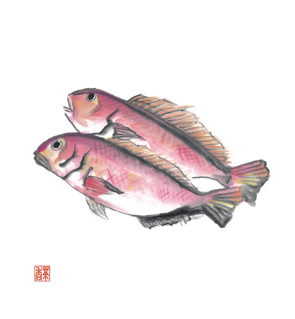 寒露