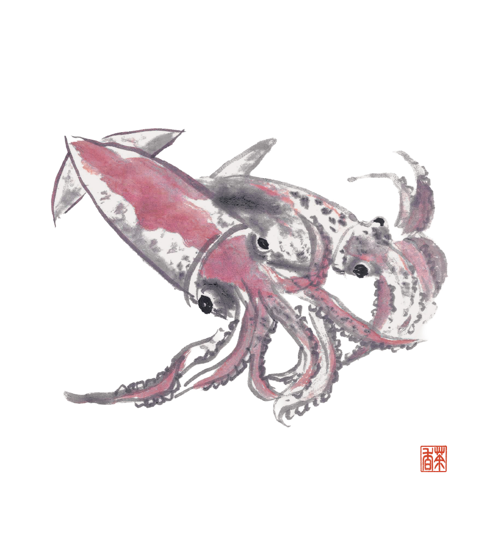 節気画像