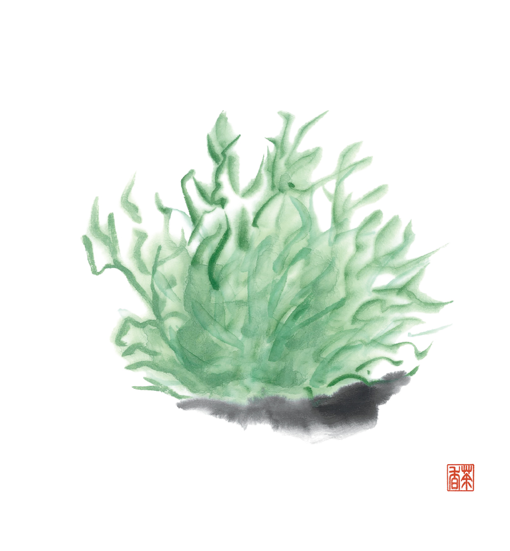 節気画像