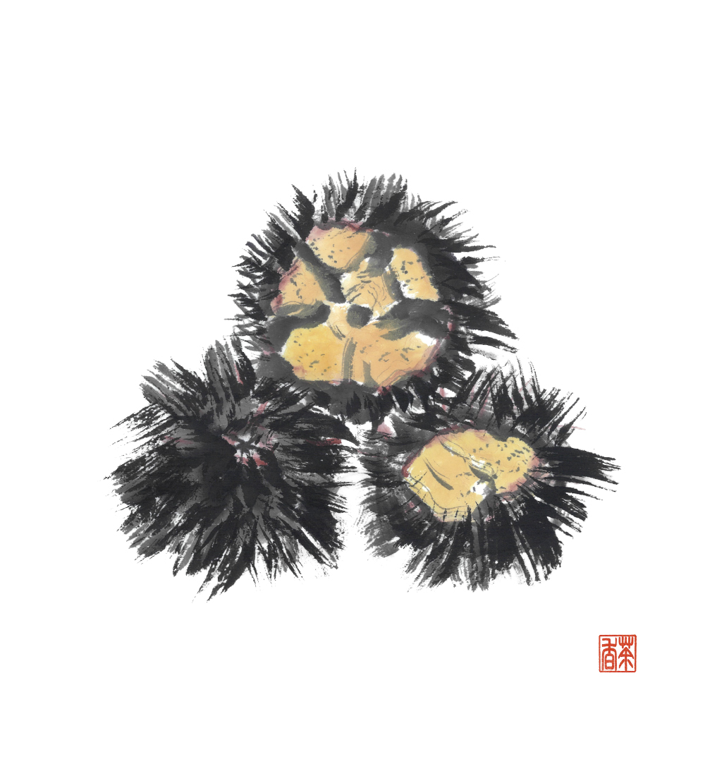 節気画像