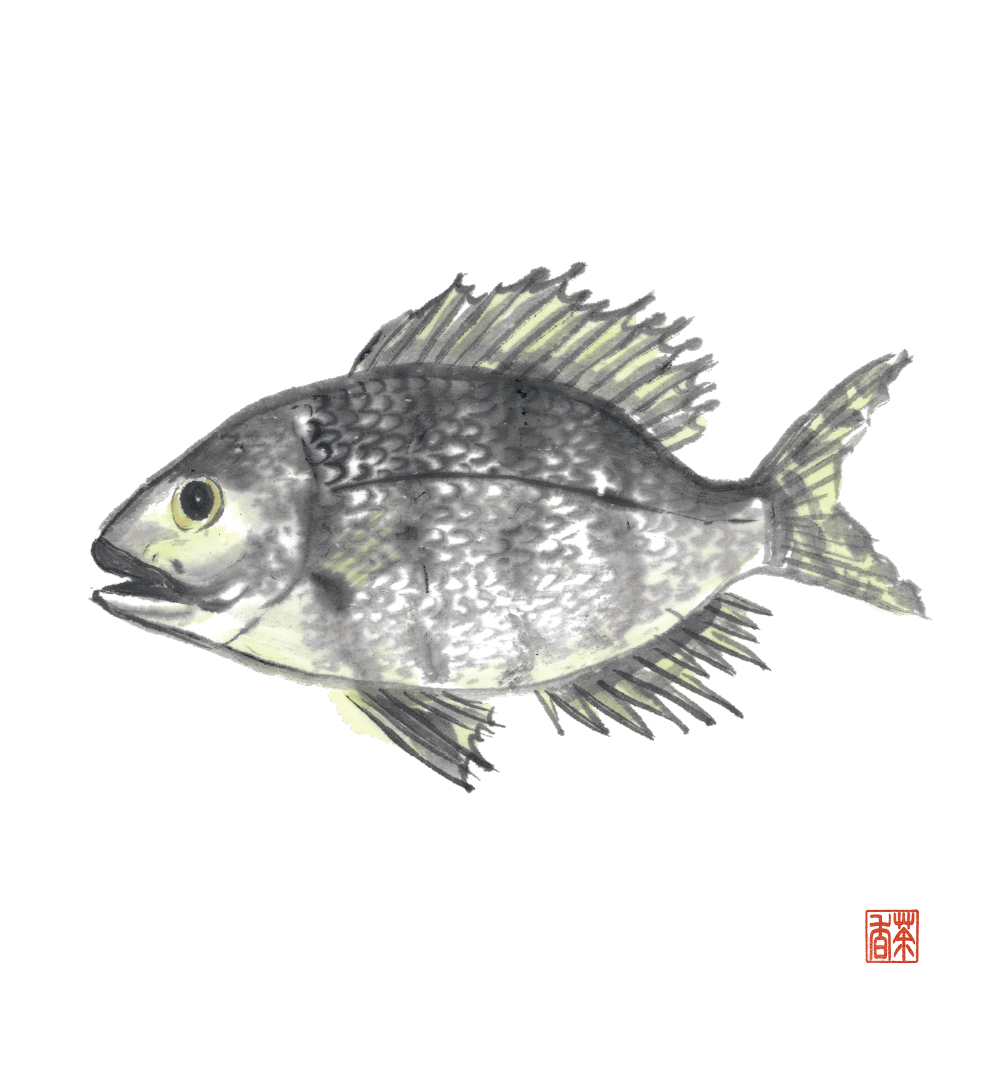 節気画像