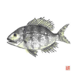 立秋