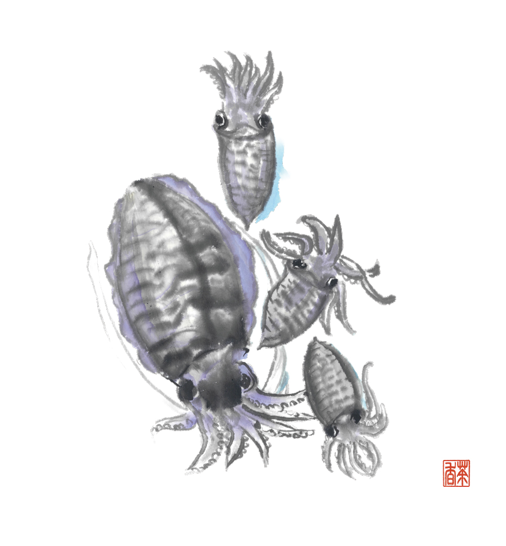 節気画像
