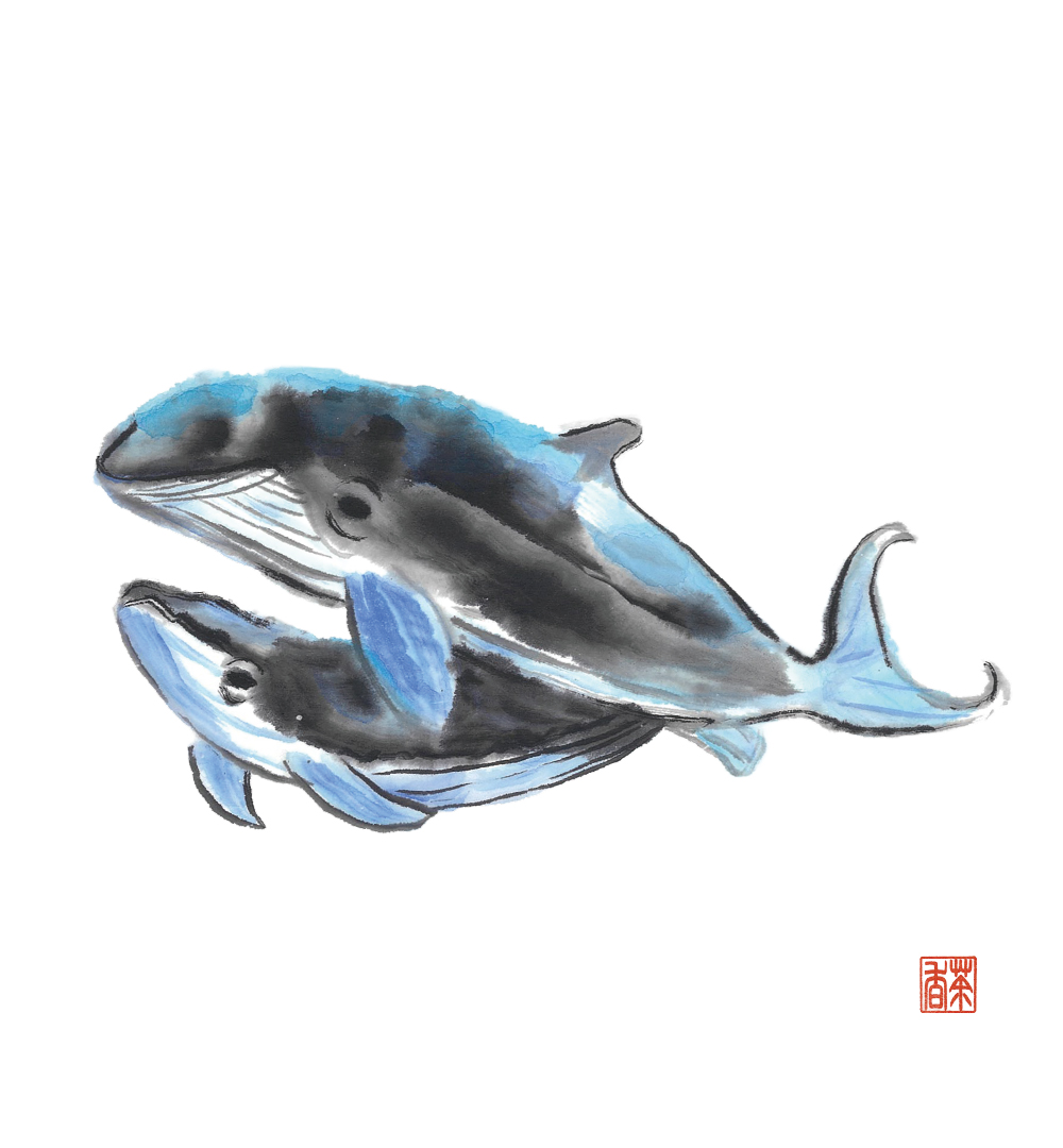 節気画像