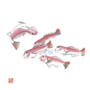 秋分