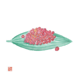秋分