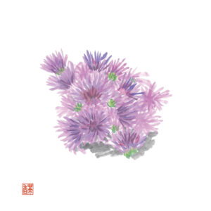 秋分
