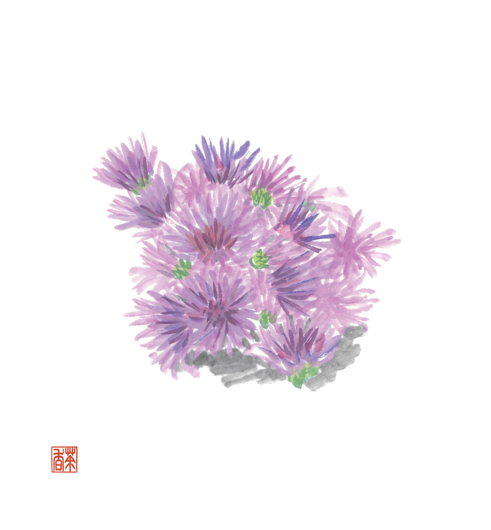 節気画像