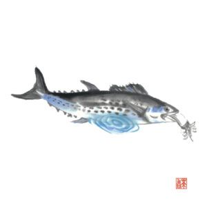寒露